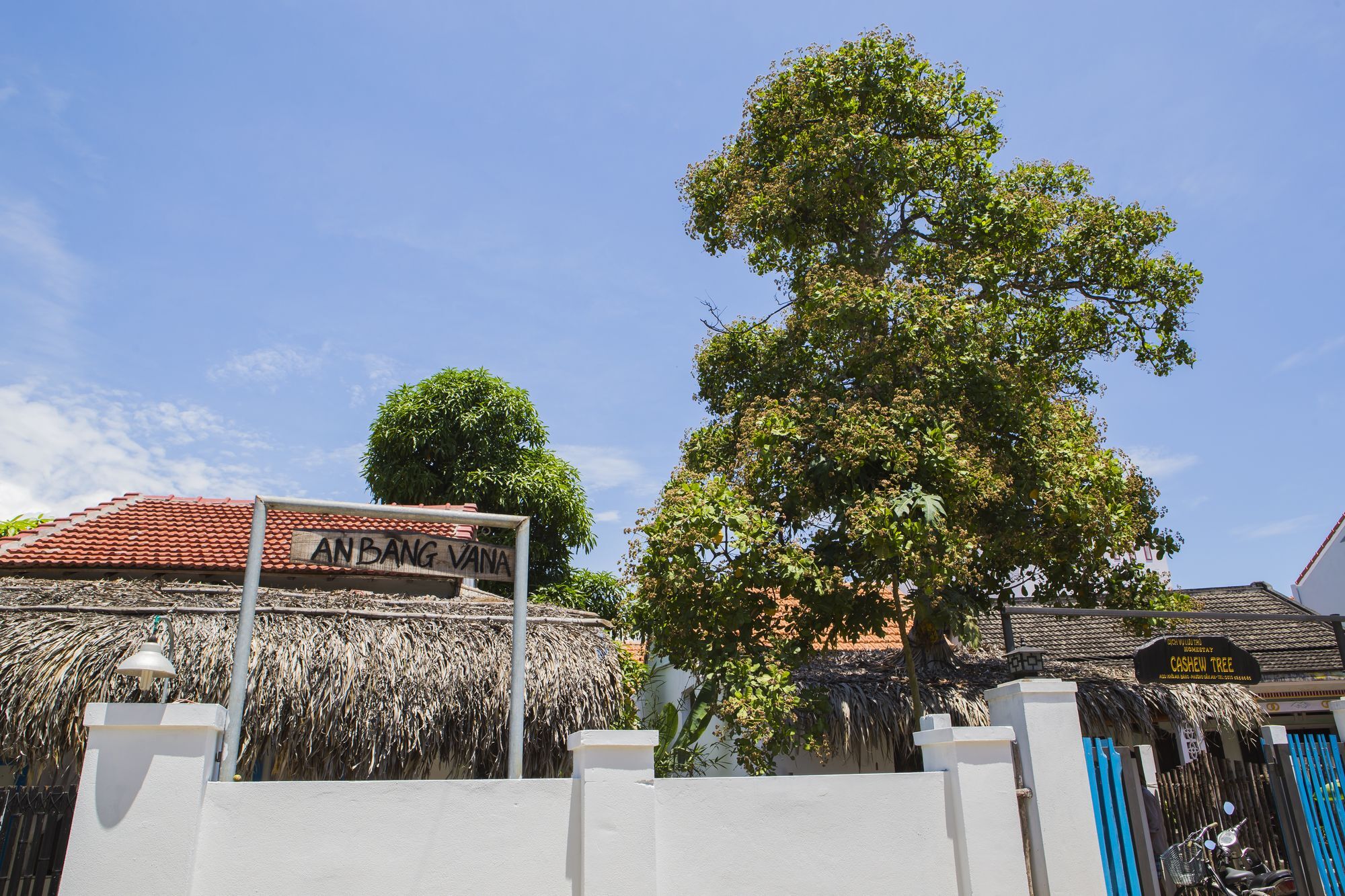 Cashew Tree Bungalow Hoi An Dış mekan fotoğraf