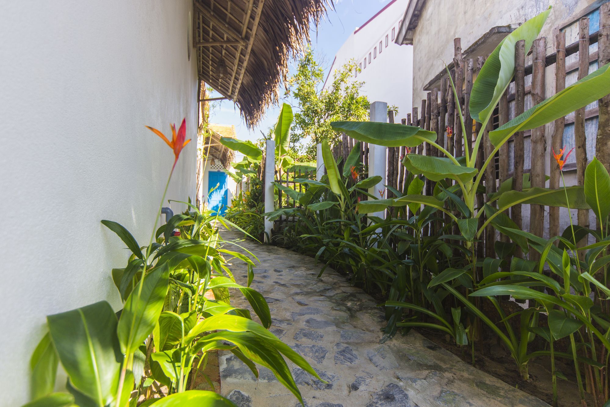 Cashew Tree Bungalow Hoi An Dış mekan fotoğraf